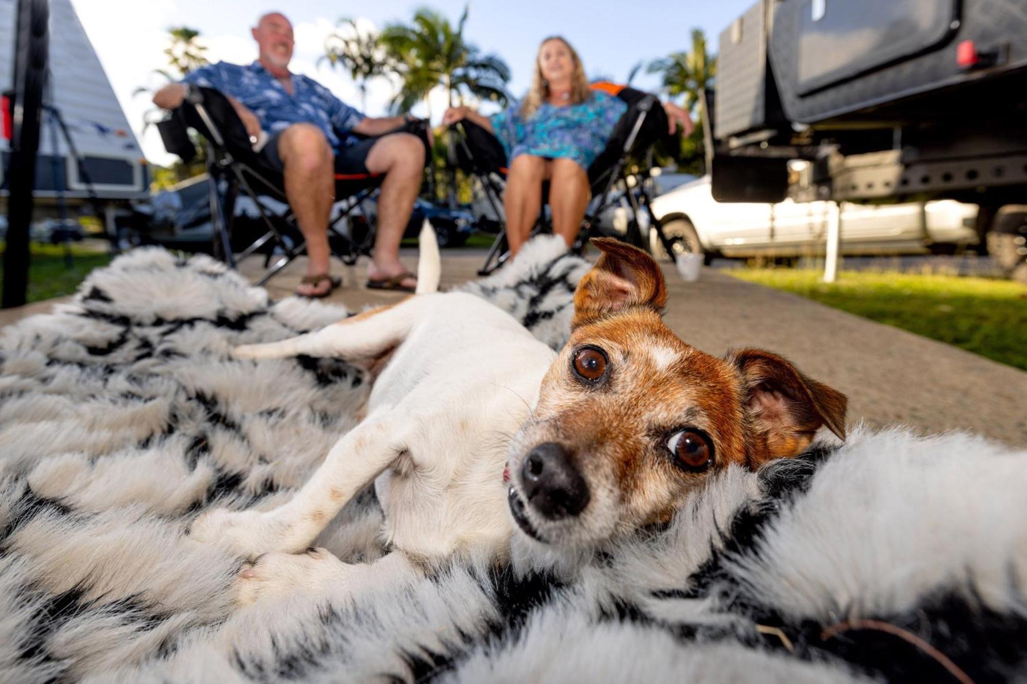 Big4 Whitsundays Tropical Eco Resort Airlie Beach Εξωτερικό φωτογραφία