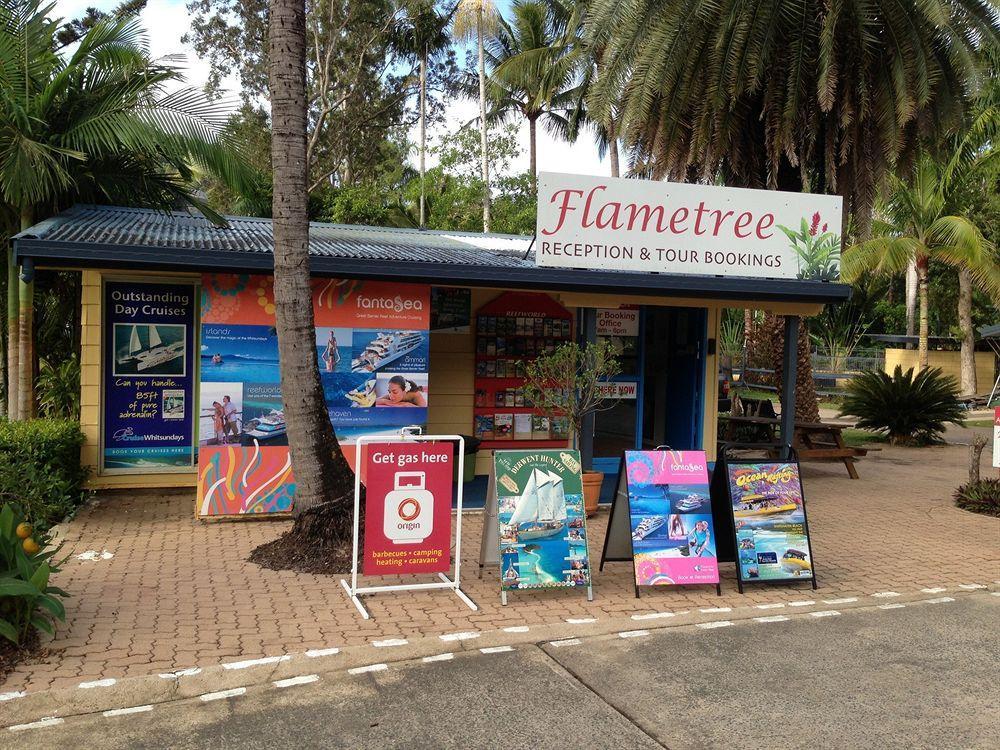 Big4 Whitsundays Tropical Eco Resort Airlie Beach Εξωτερικό φωτογραφία
